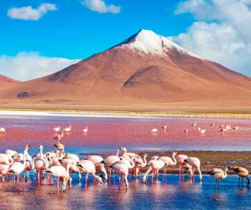 Tour Salar de Uyuni 3D- 2N desde Uyuni