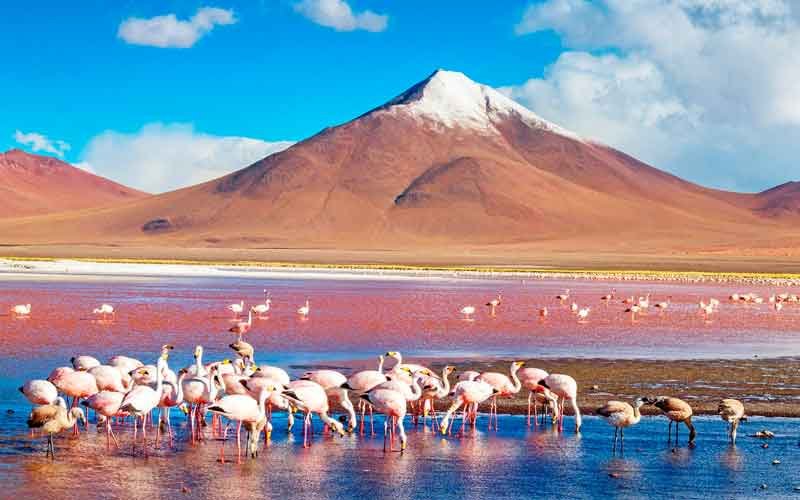 Uyuni Salt Flats Tour 3D- 2N from Uyuni