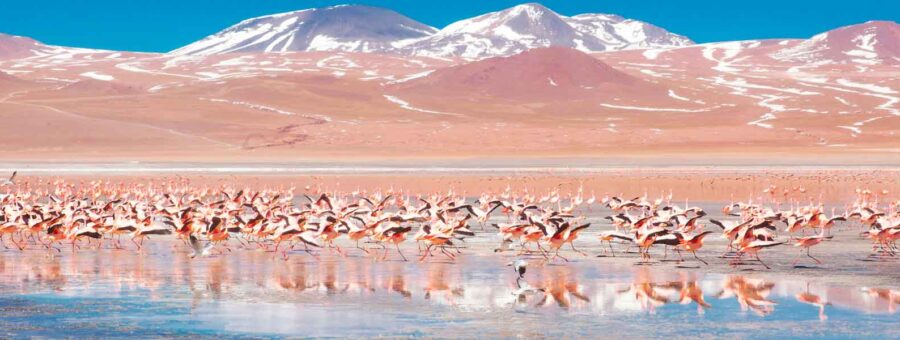 Salar de Uyuni Turismo