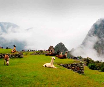 Tour Camino Inca 2 dias