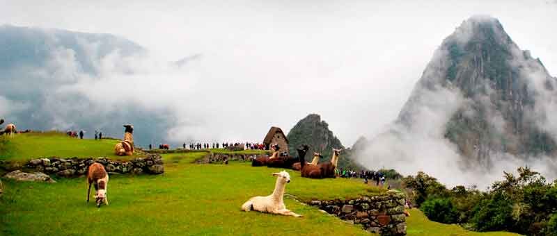 Tour Camino inca 2 dias 1 noche