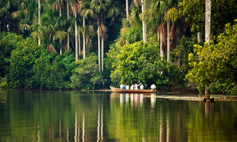 Selva Viva: Aventura en Tambopata & Collpa Chuncho 4D/3N
