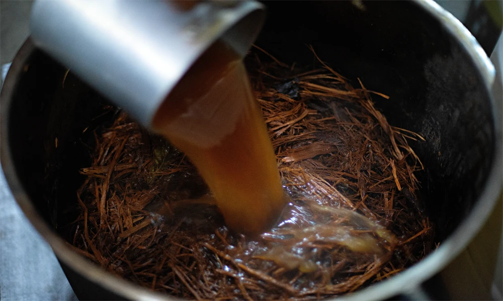 Sanación : Ceremonia de Ayahuasca en Tambopata |2 D/ 1N