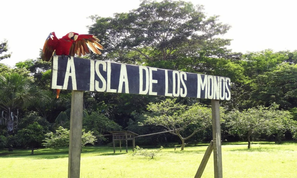Isla de los Monos & Aventura en Kayak y Tirolina