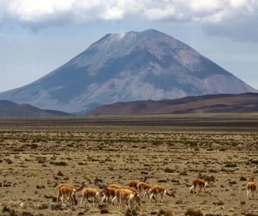 Ruta Altiplánica Andina | De Arequipa a Puno 2D/1N