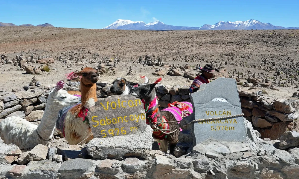 Tour Cañón del Colca desde Arequipa (Full Day)