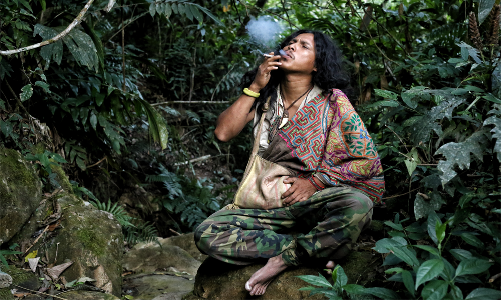 Sanación : Ceremonia de Ayahuasca en Tambopata |2 D/ 1N