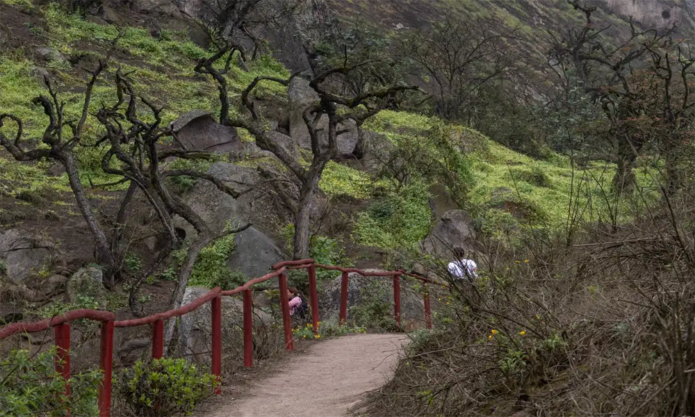 Tour Full Day Lomas de Lachay y Castillo de Chancay