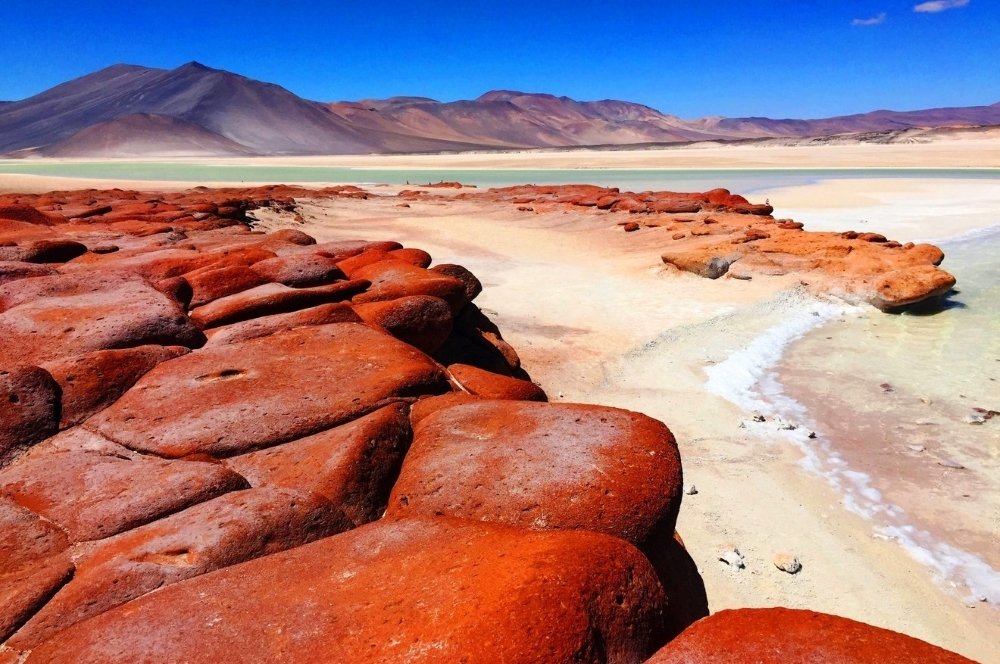 Piedras Rojas, Lagunas Altiplanicas y Laguna Chaxa