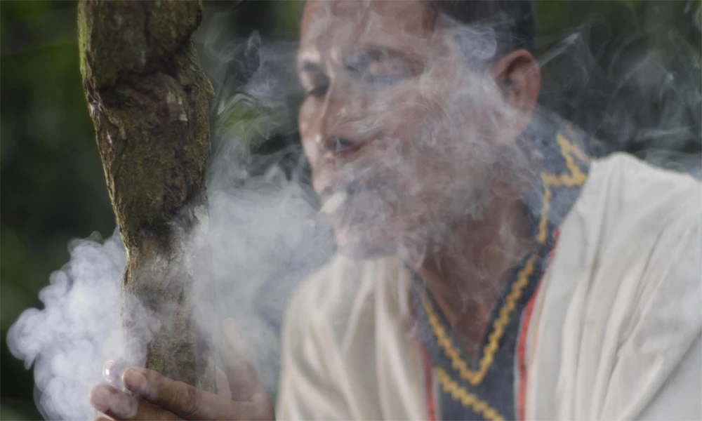 Tour Retiro de Ayahuasca Cusco 3 Días | Sanación y Conexión Espiritual