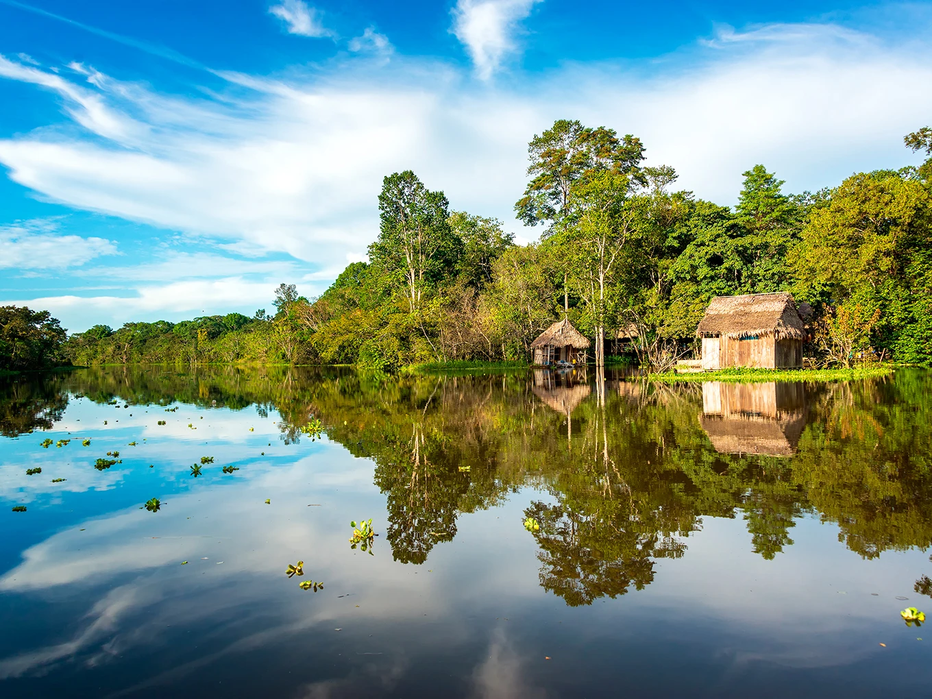 Full Day: Nanay, Momón, and Amazon Rivers – Iquitos