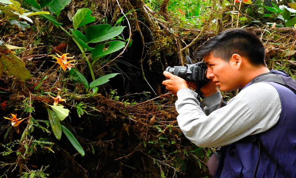 Expedición Delfines & Selva/ 2 Días en Tamshiyacu‑Tahuayo